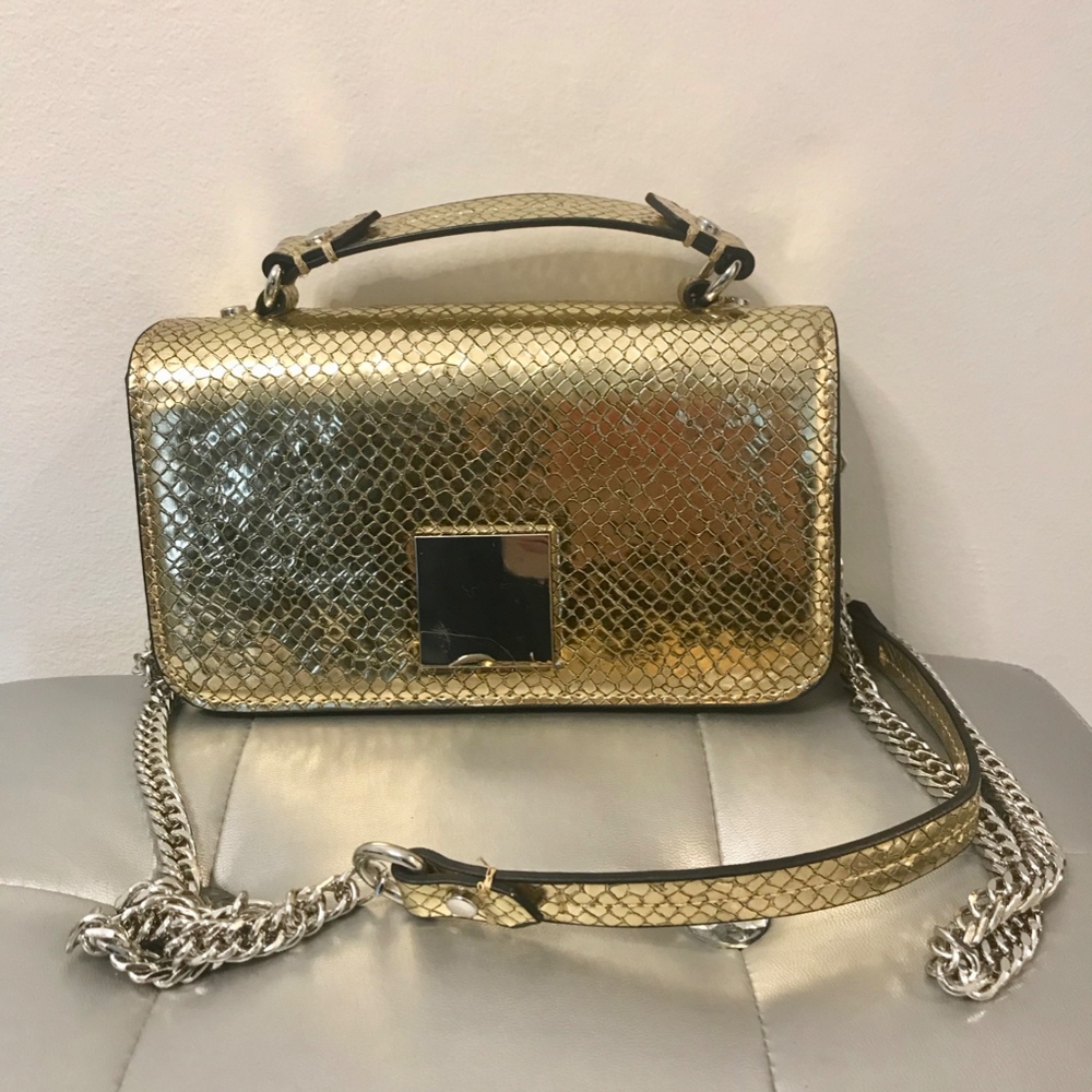 Zara Gold Crossbody/Clutch
